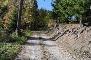 Wittgensteinweg Trattenbach
